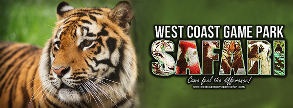west coast game park safari tickets